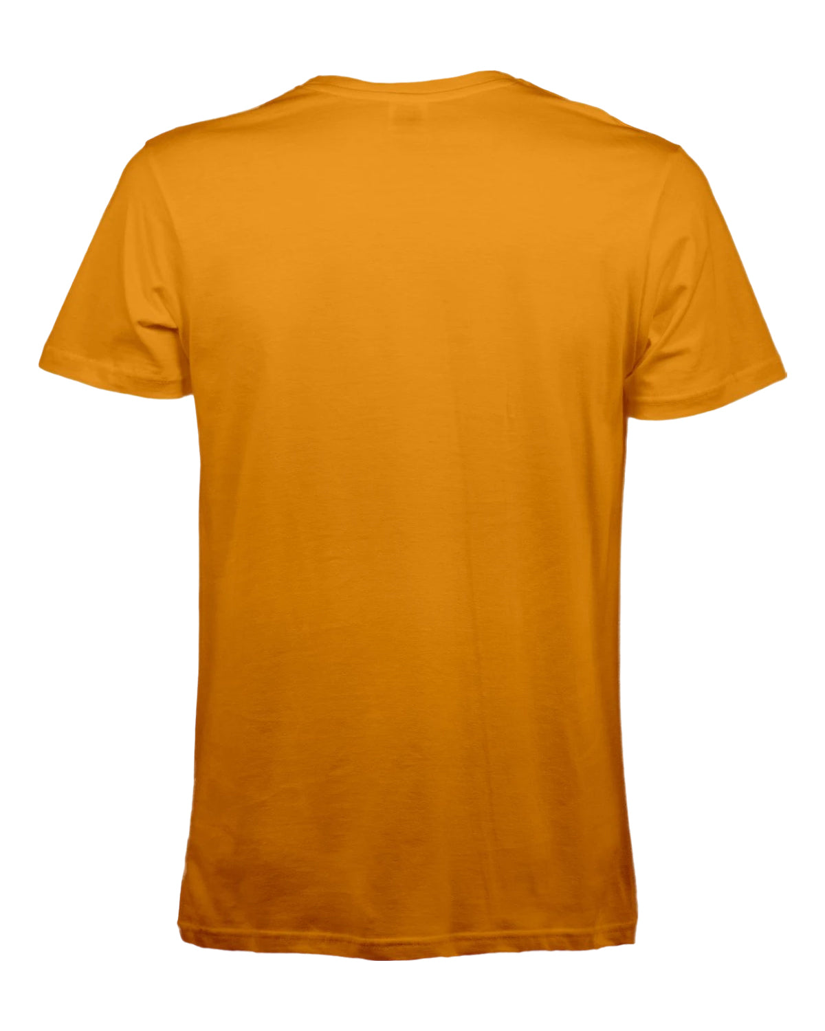 B&C #E150 men's t-shirt