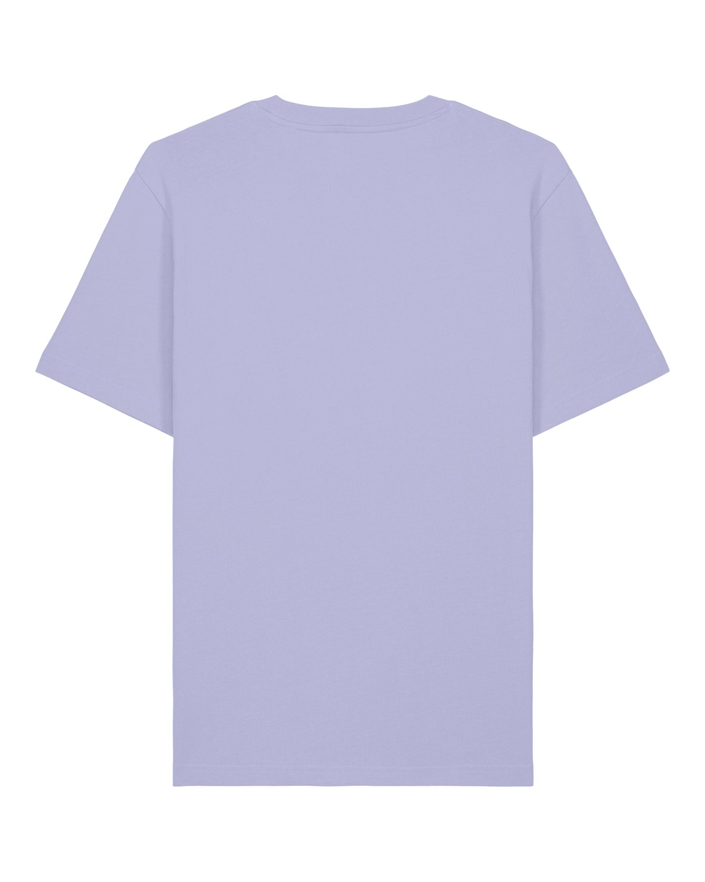 Stanley Stella Sparker unisex relaxed t-shirt