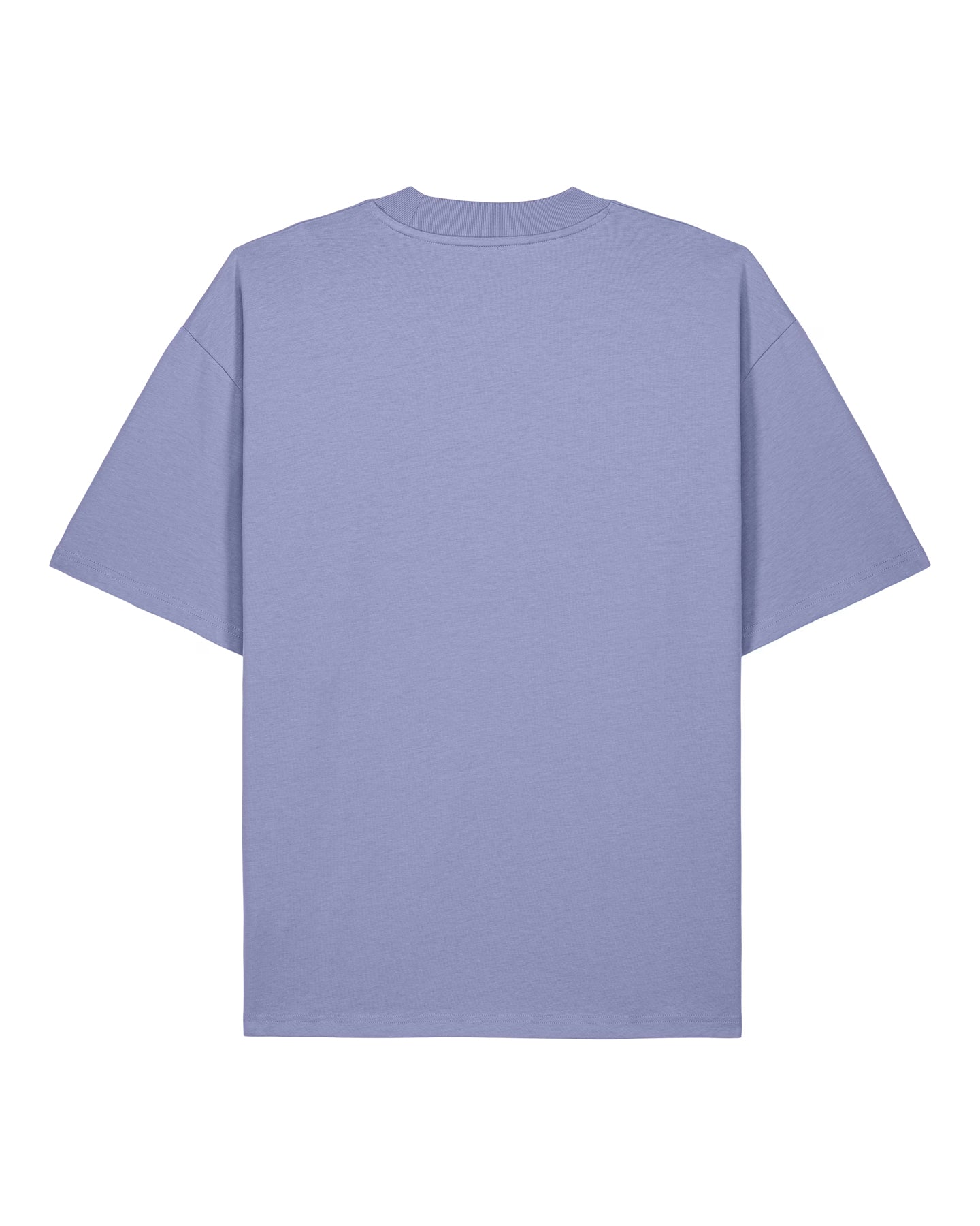 Stanley Stella Blaster 2.0 organic unisex oversized t-shirt