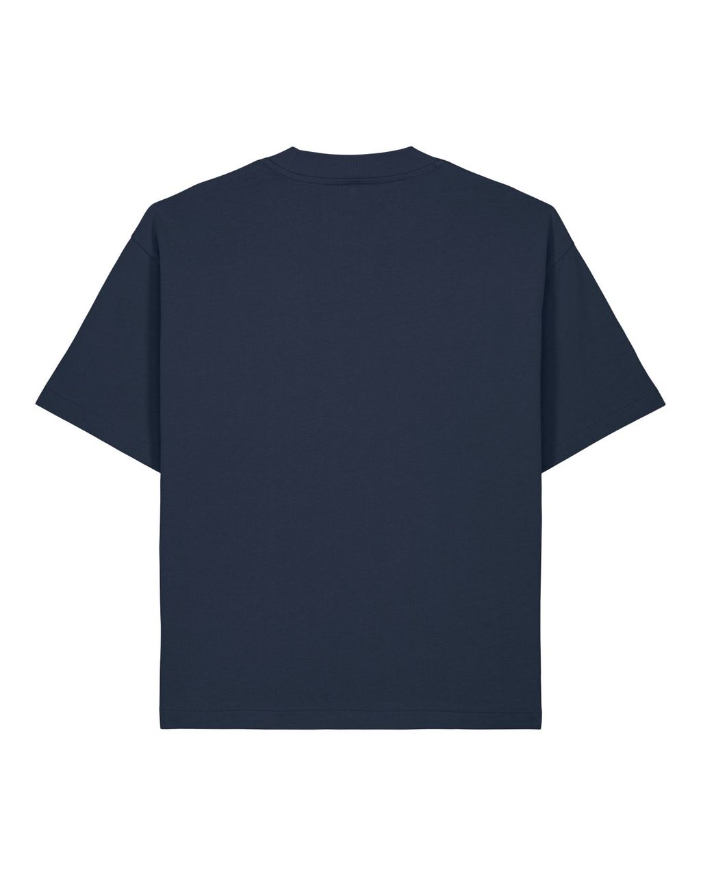rear__French Navy