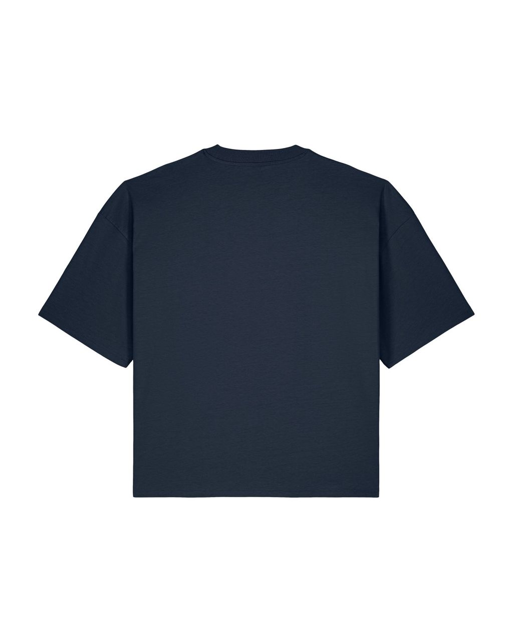 rear__French Navy