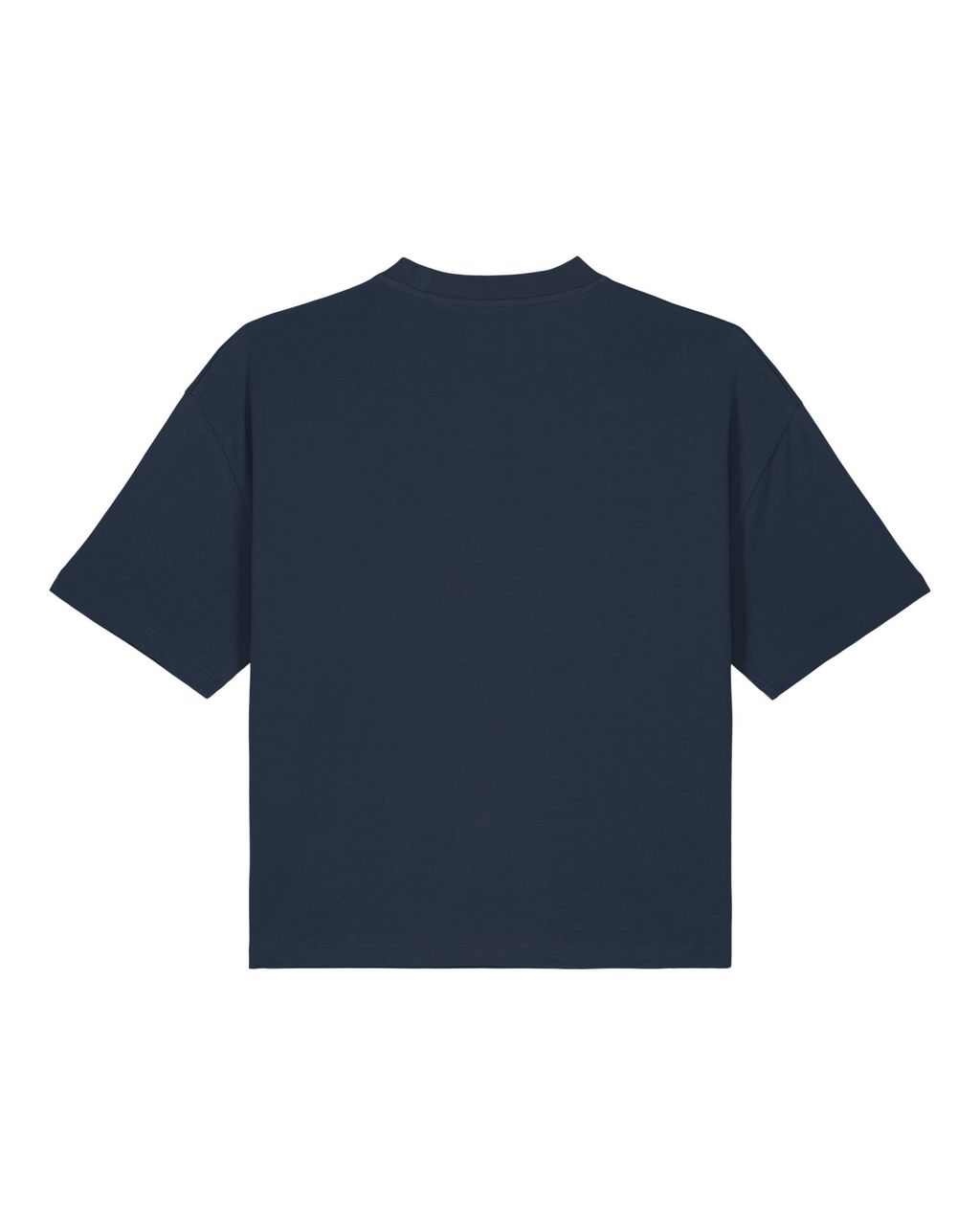 rear__French Navy